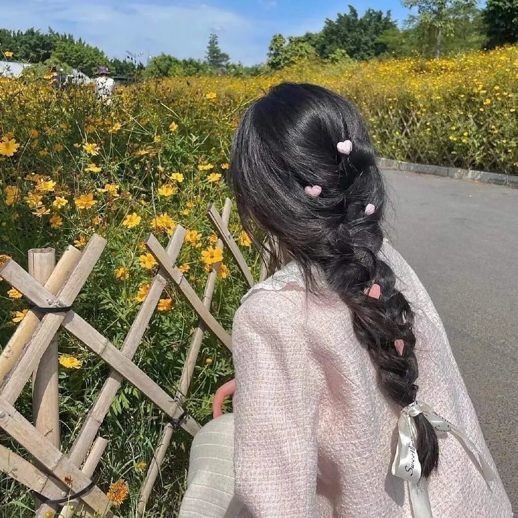 宝哥的烦恼